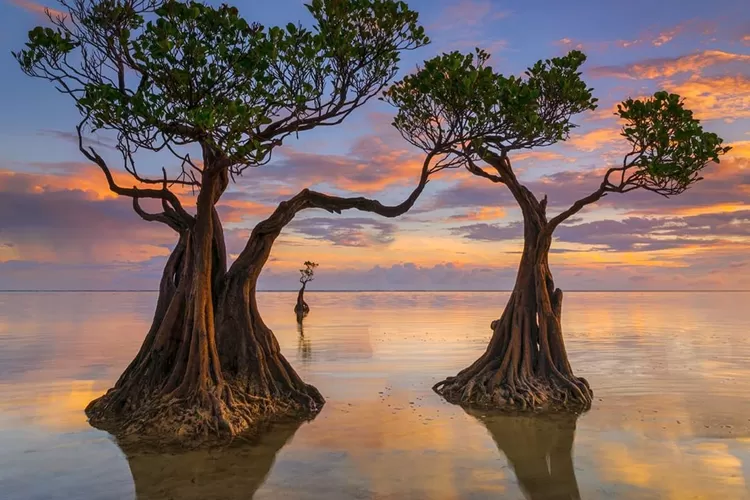 Wisata Gunung di Pulau Sumba: Menikmati Keindahan Alam dan Petualangan Seru