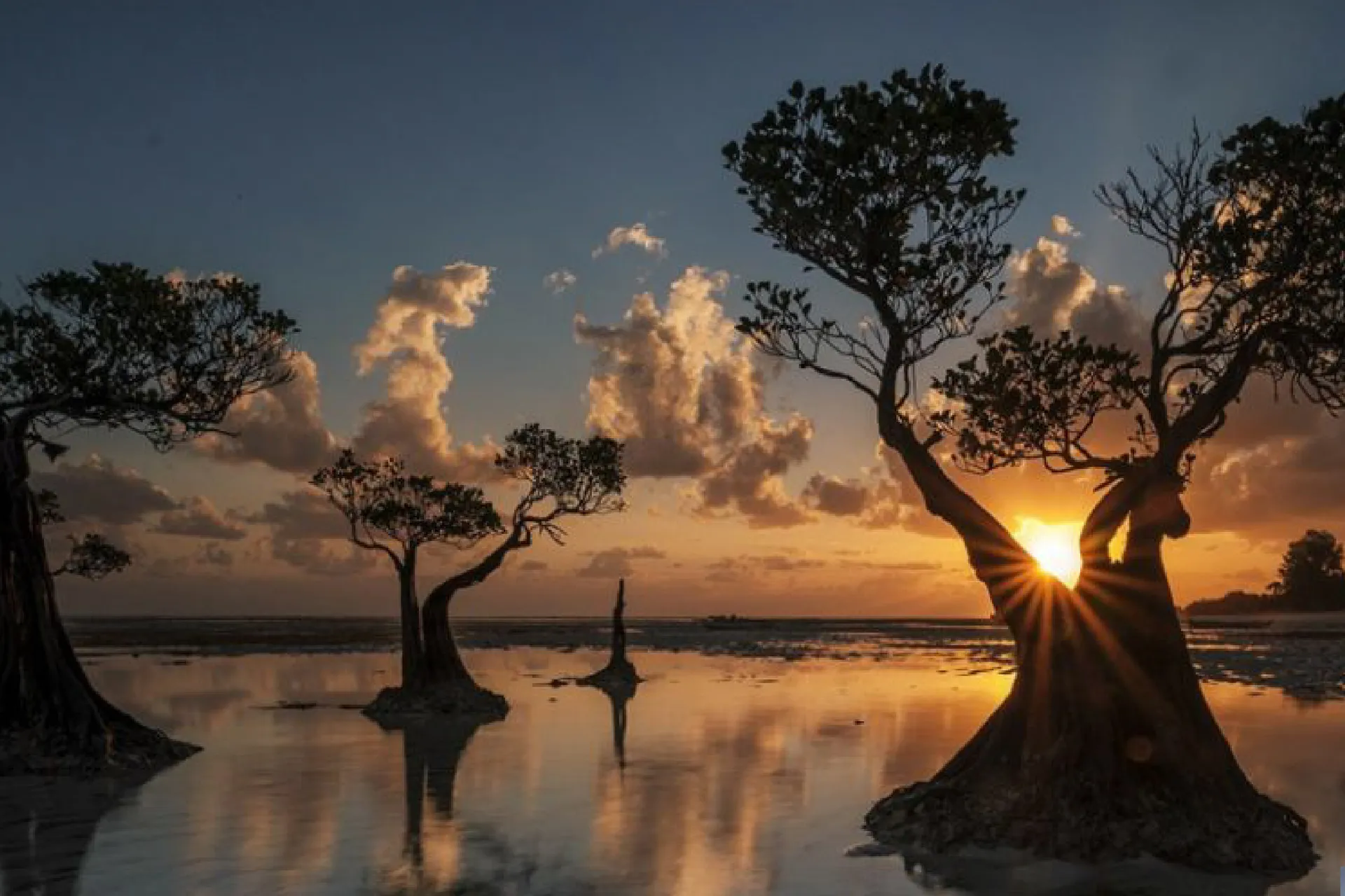 Panduan Tour Lengkap ke Pulau Sumba