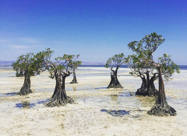 Menikmati Eksotisme Pantai Walakiri Sumba: Tempat di Mana Alam dan Seni Berpadu