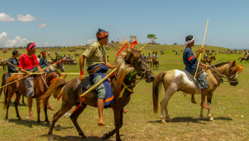 Mengenal Tradisi Pasola: Warisan Budaya Ikonik Pulau Sumba