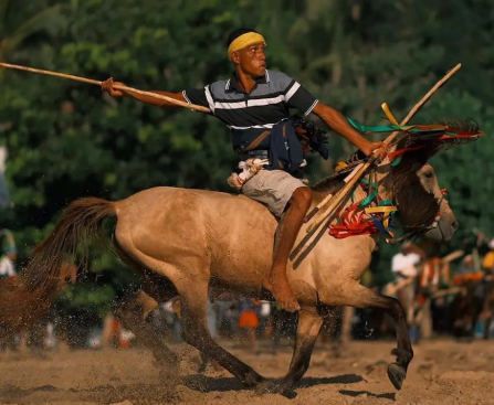 Mengenal Tradisi Pasola: Warisan Budaya Sumba yang Mendunia
