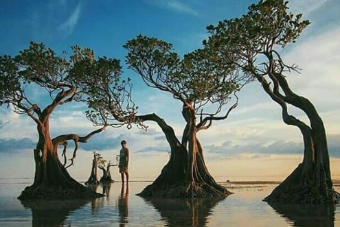 Pantai Walakiri Sumba vs Pantai Pink Lombok: Keindahan Pantai dengan Nuansa Berbeda