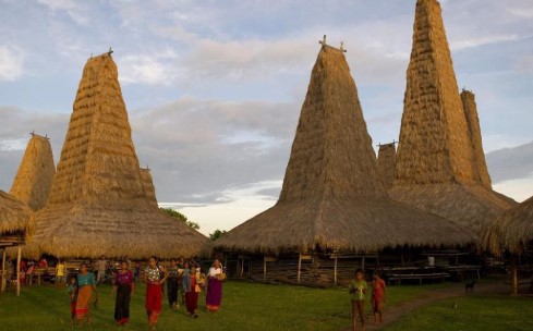 Lebih dari Sekadar Jejak: Panduan Regenerative Travel untuk Menjaga Marwah dan Masa Depan Sumba 2026